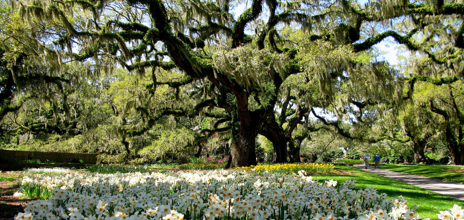 Caroline du sud-Brookgreen Gardens