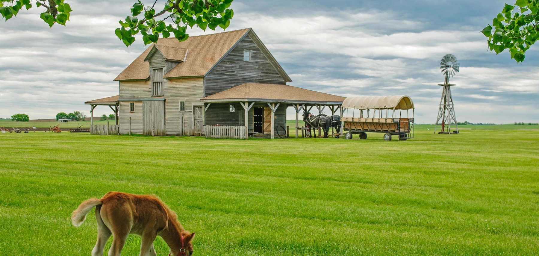 IngallsHomesteadDeSmet00143 1800x855