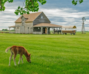 Image : Laura Ingalls Wilder Homestead