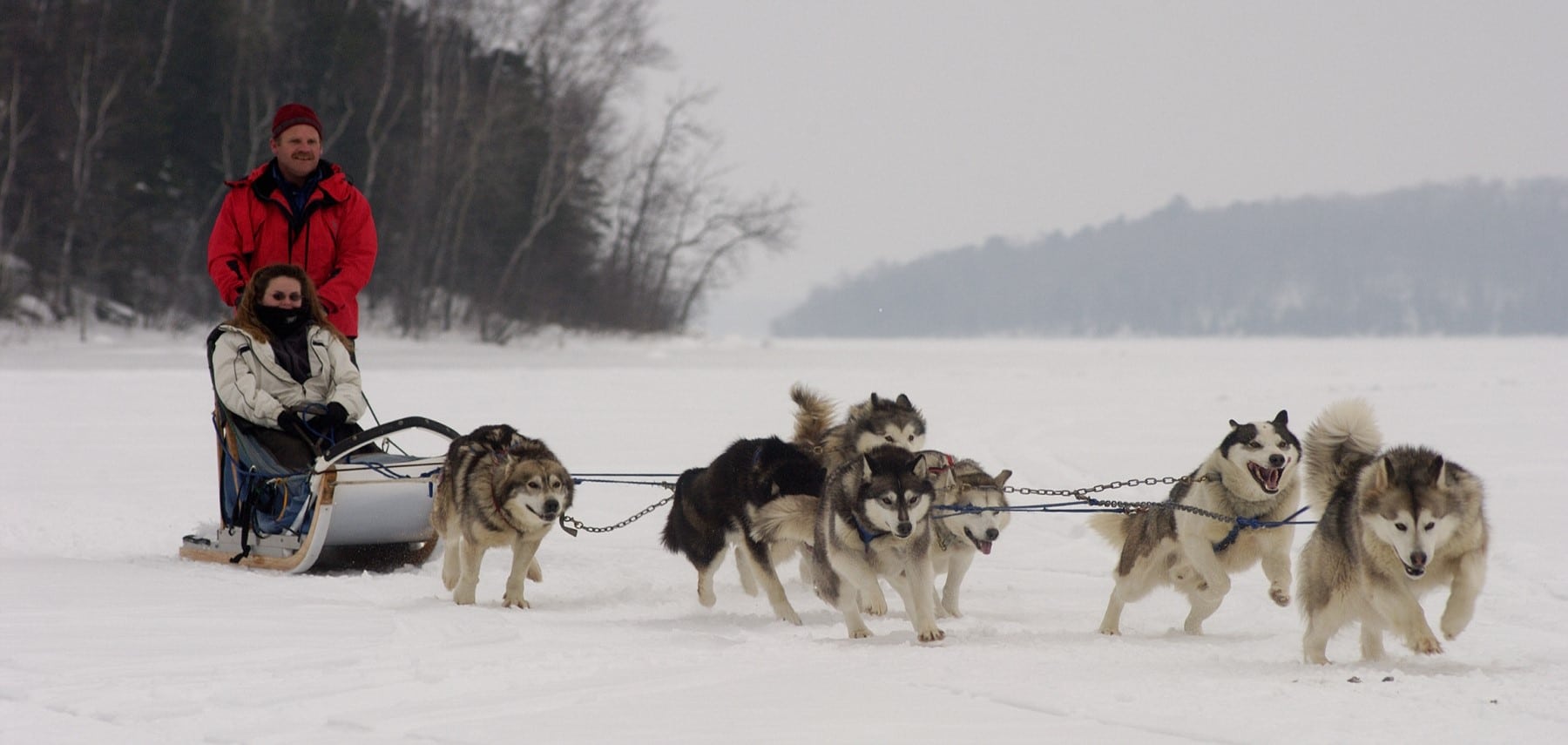 Minnesota-Dog-sledding