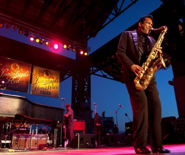 Image : Duluth Bayfront Blues Festival