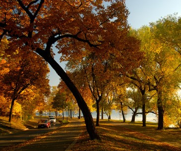 Image : Grand Rounds National Scenic Byway