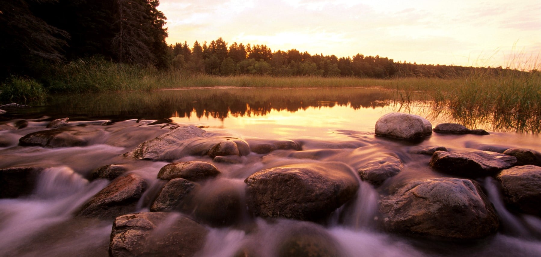 Minnesota-Mississippi-Headwaters-Itasca-State-Park