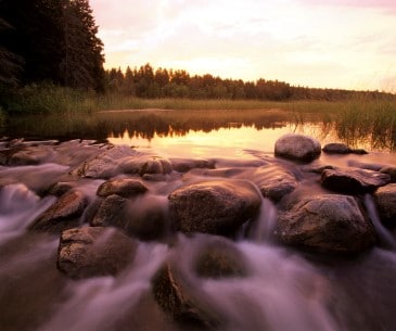 Image : Mississippi Headwaters Itasca State Park