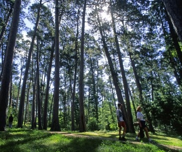 Image : Minnesota State Parks