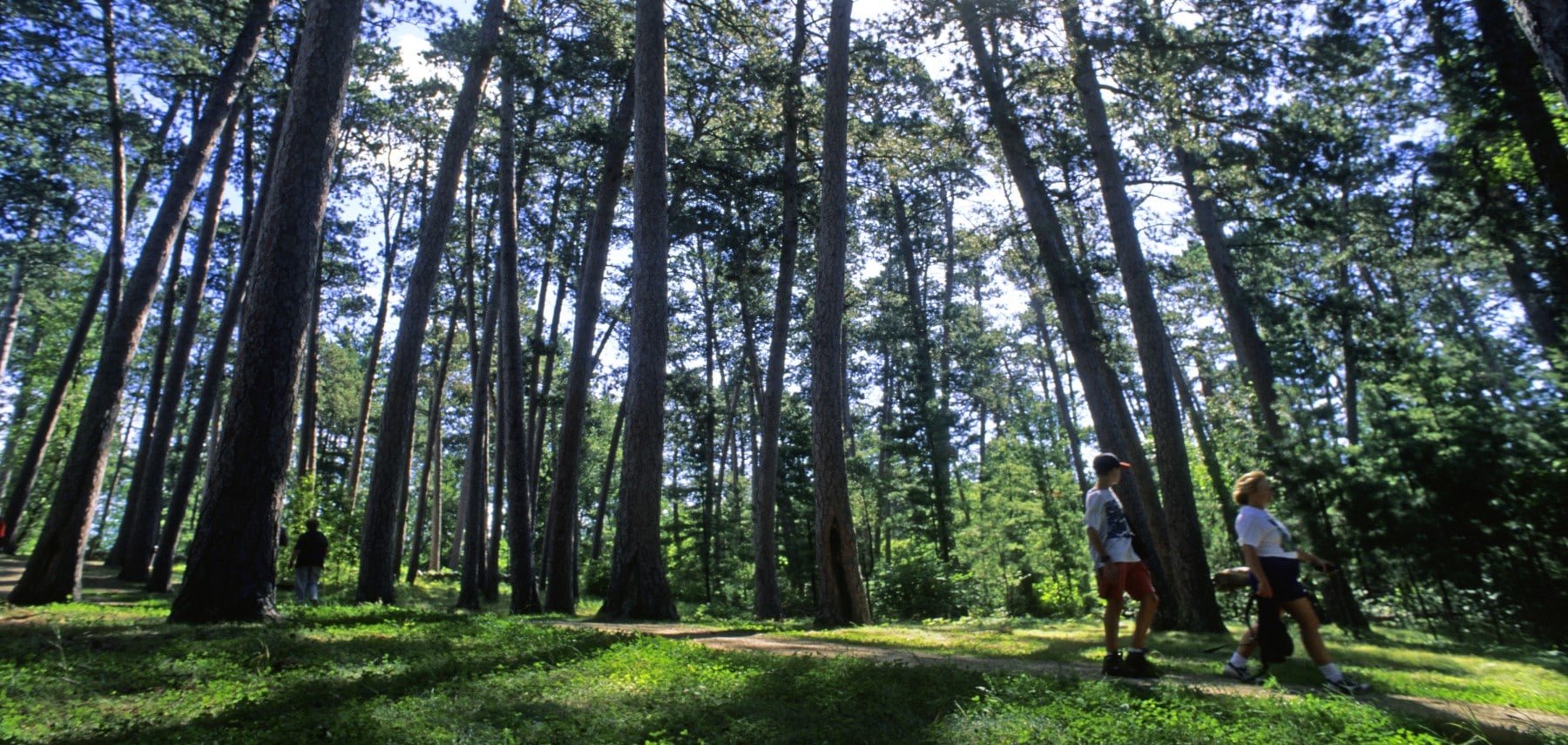 Minnesota-State-Parks