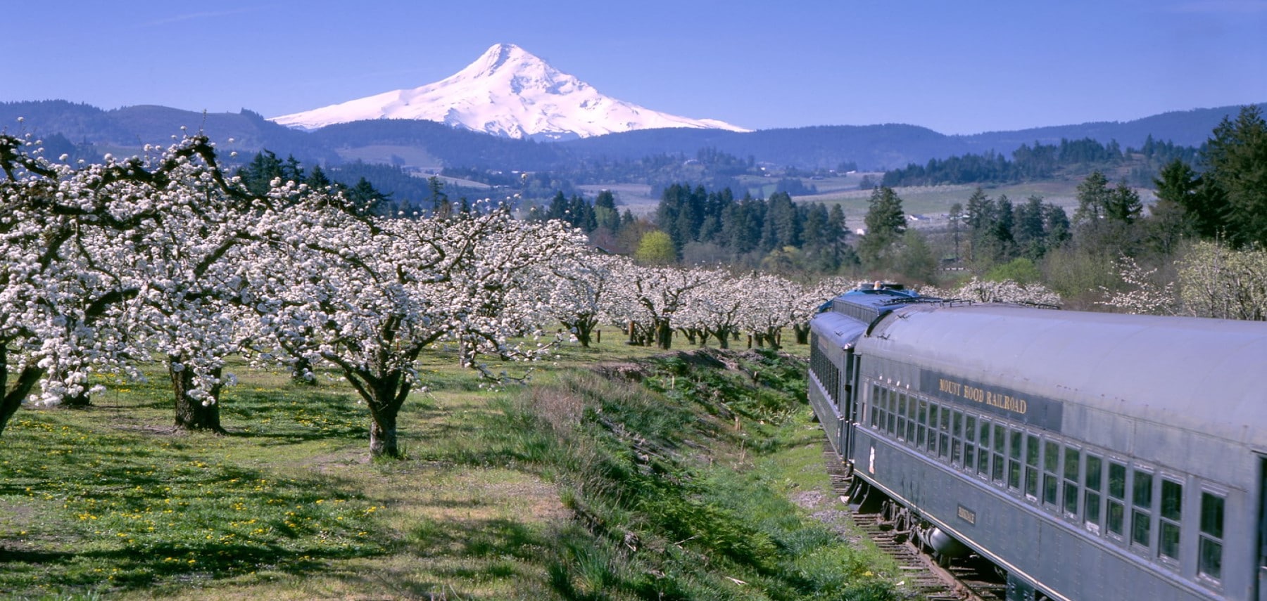 Oregon-HoodRiver-Photocredit-Peter-MarbachCourtesyHoodRiverCountyChamberofCommerc-bloomingorchard