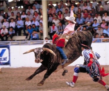 Image : Cowtown Colliseum