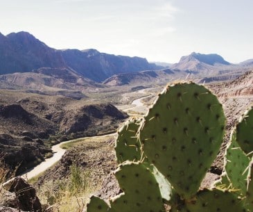 Image : Le Rio Grande