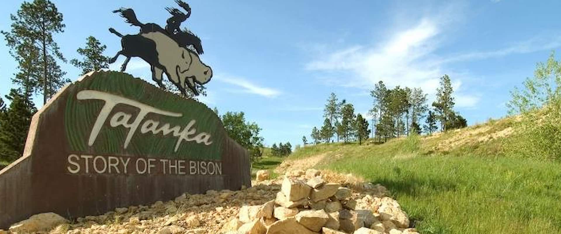 tatanka-story-of-the-bison-4360 2000 800