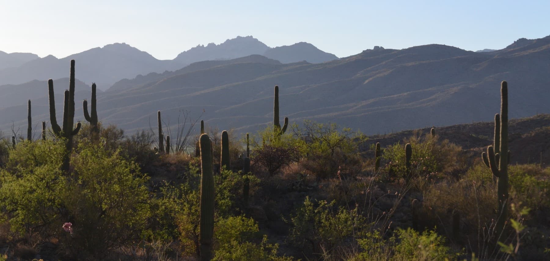 tucson