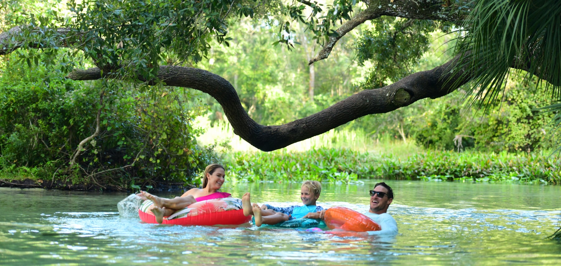 1800x855 Apopka Wekiwa Springs State Park Rock Springs Run Tubing 28-1