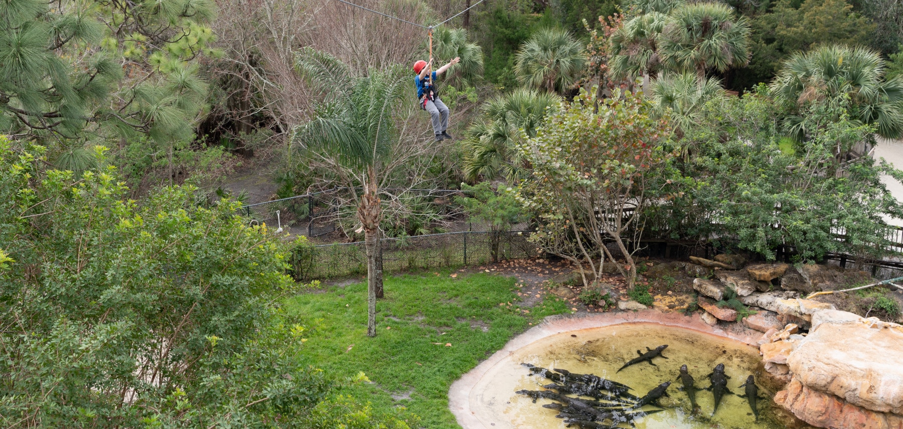 1800x855 Orlando Gatorland Zipline-1