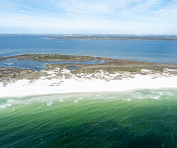 Image : St Andrews State Park