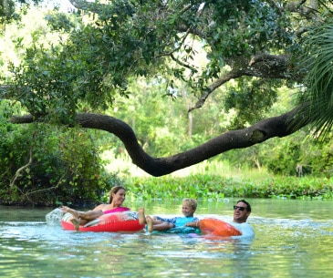 Image : Wekiwa Springs