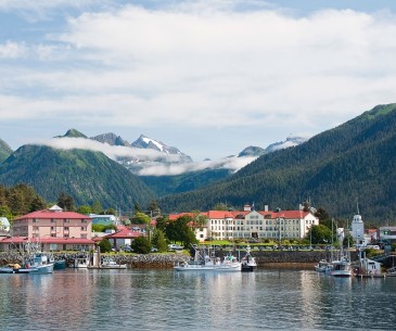 Image : Sitka