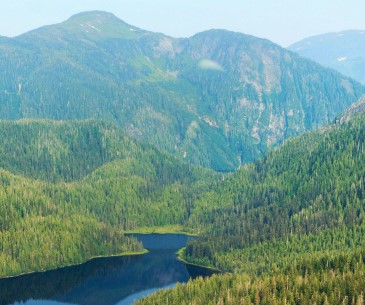 Tongass National Forest