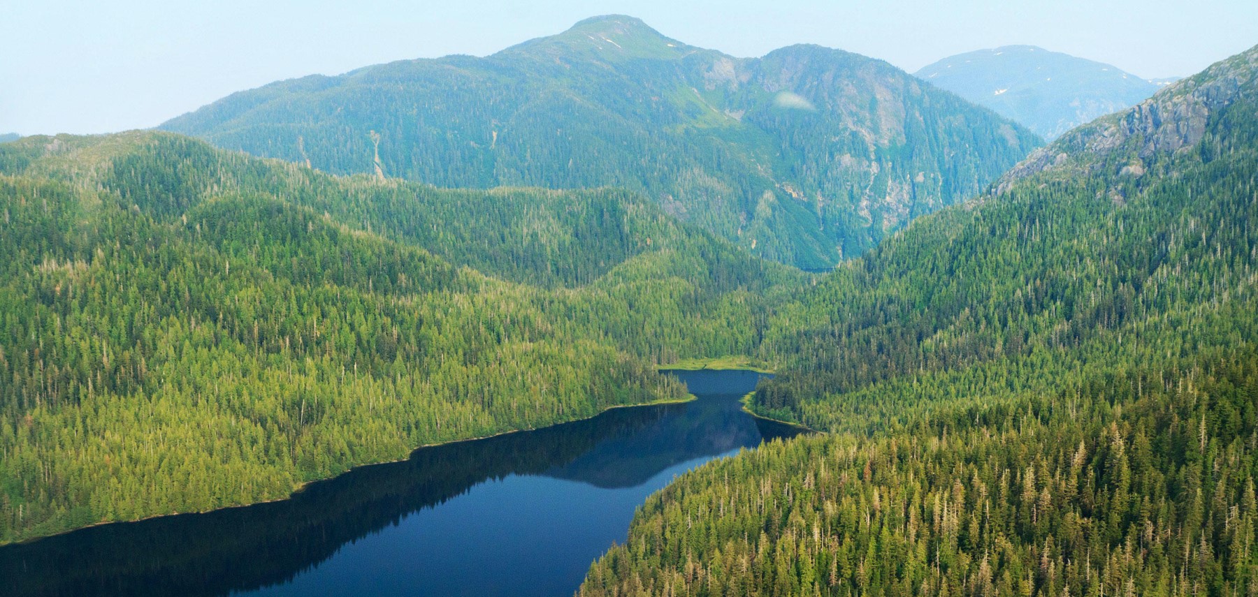 Alaska-Tongass-Forest