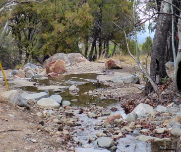 Image : Madera Canyon
