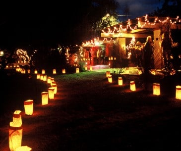 Image : Tohono Chul Park