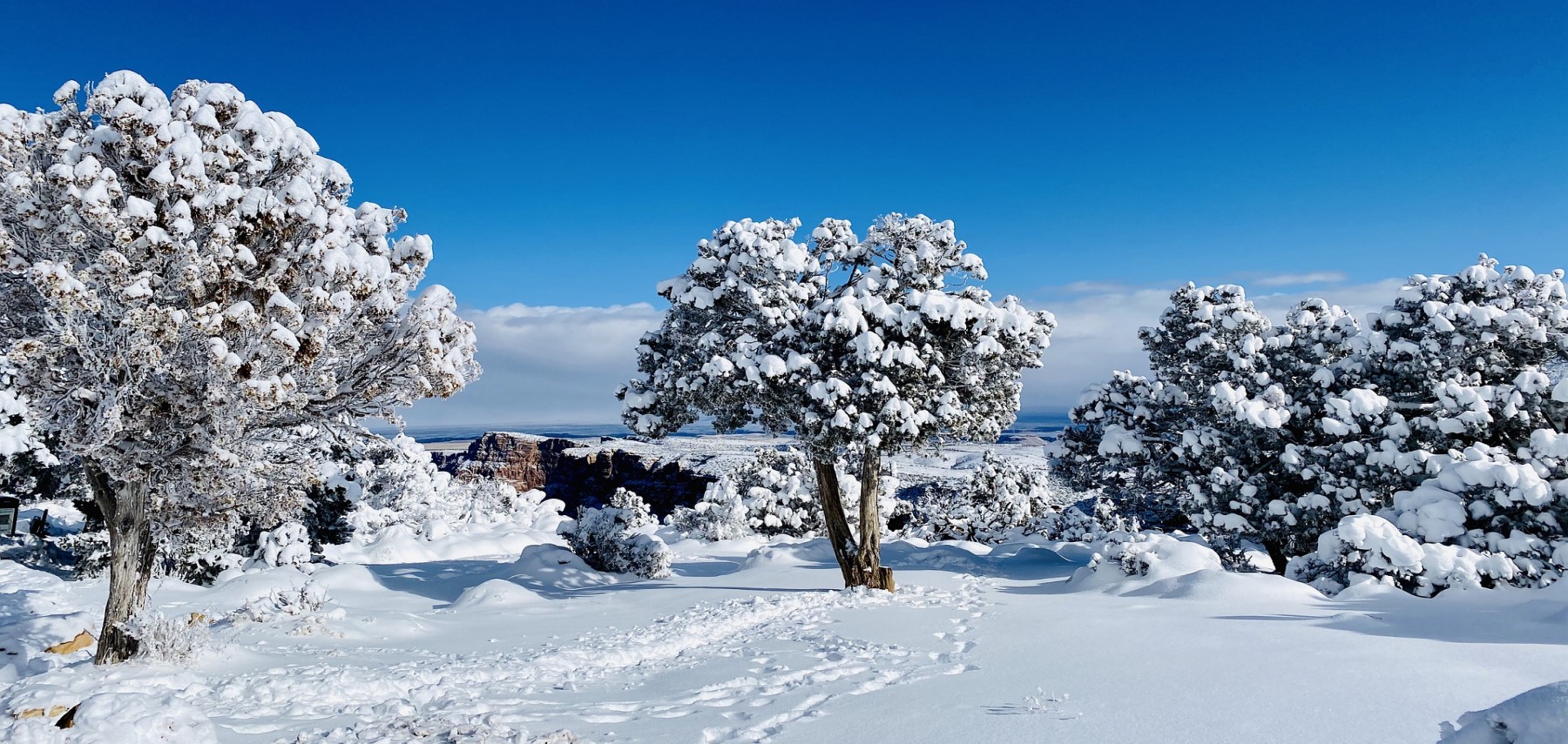 Arizona-snow-grand-canyon