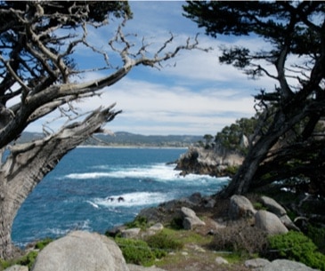 Image : Monterey