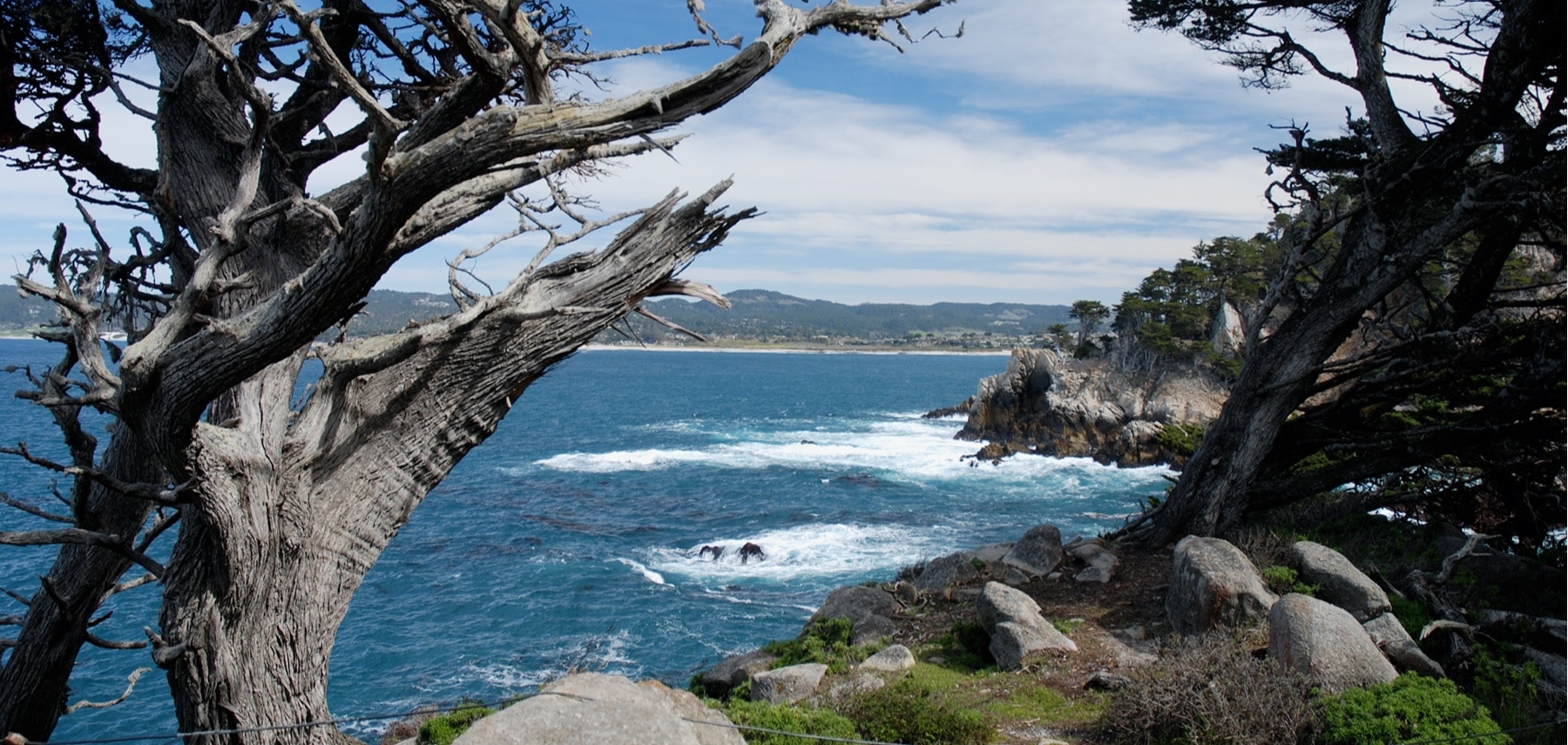 California-Monterey
