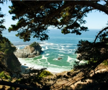 Image : Big Sur & Highway 1