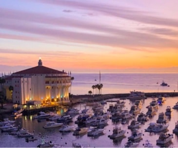 Image : Catalina Island