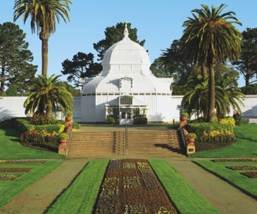 Image : Golden Gate Park