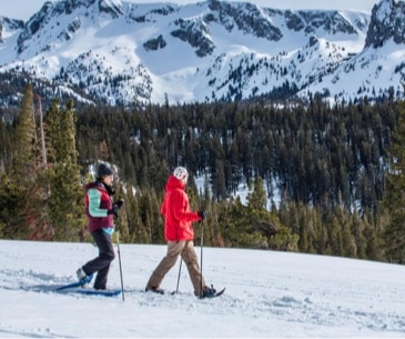 Image : Mammoth Lakes