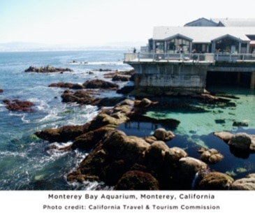 Image : Monterey Bay Aquarium