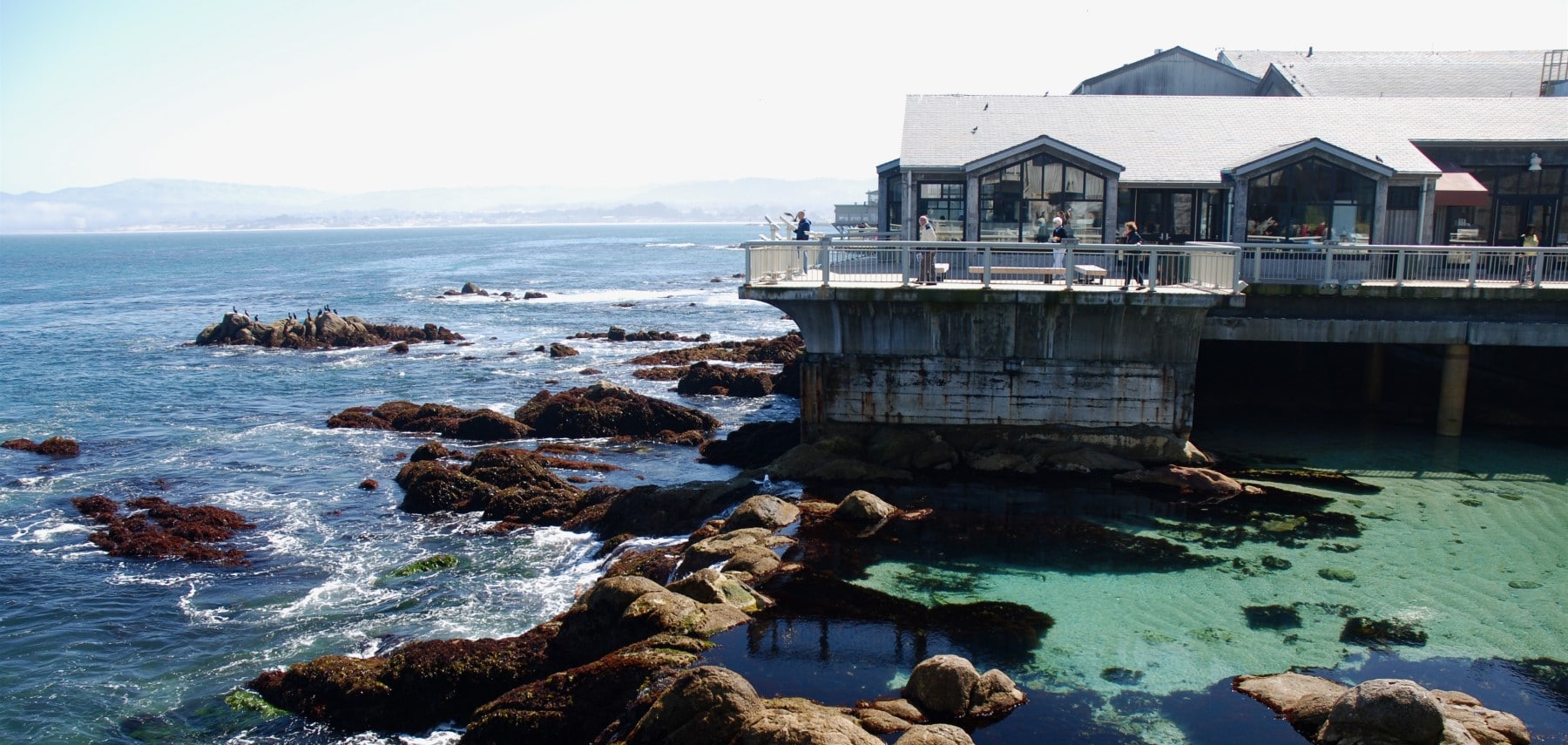 Californie-Monterey-Bay-Aquarium