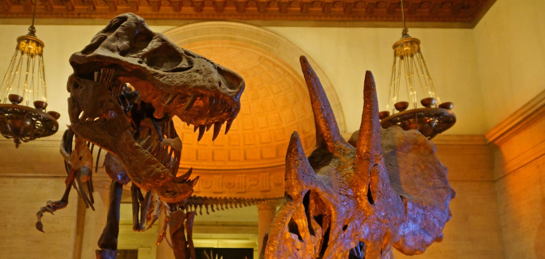 Californie-Natural-History-Museum