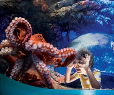 Image : SeaWorld San Diego