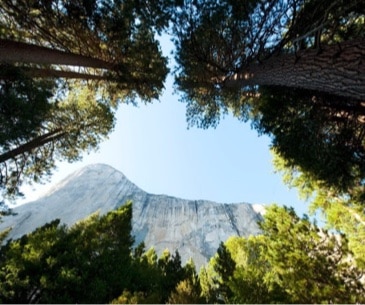Image : Yosemite National Park