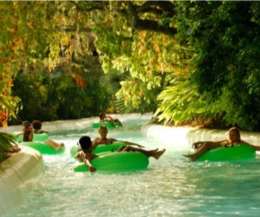 Image : Adventure Island