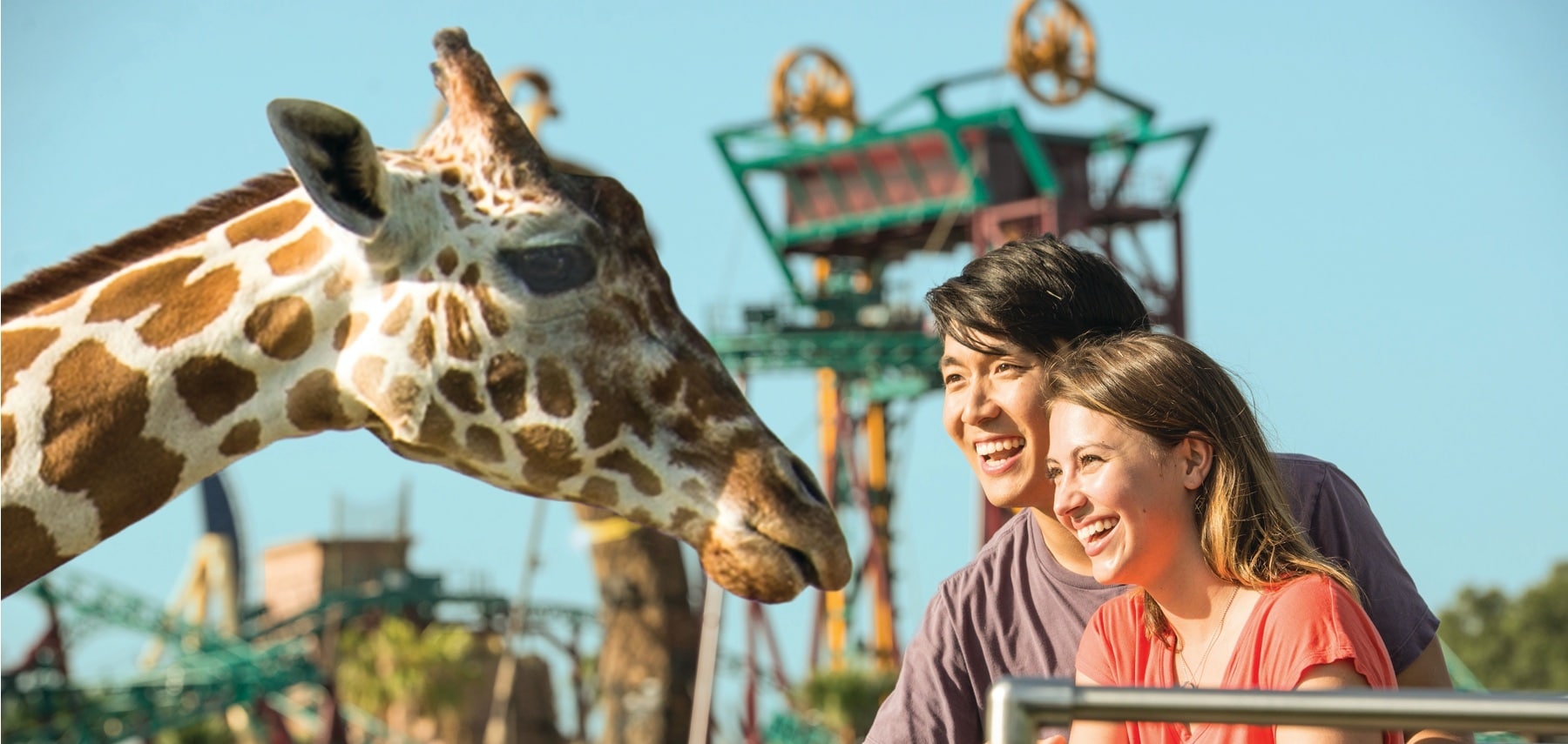 Floride-Busch-Gardens-Tampa
