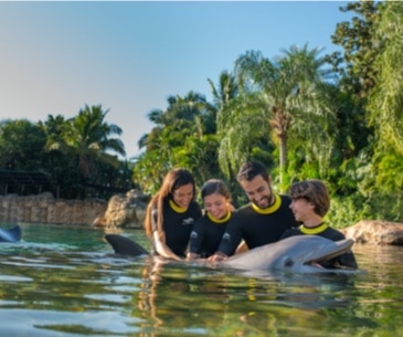 Image : Discovery Cove