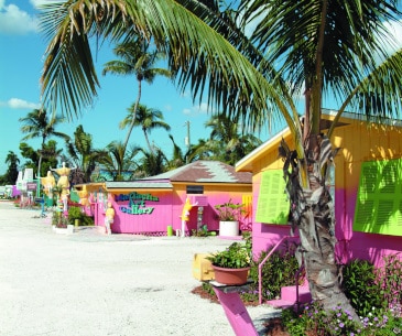 Image : Matlacha & Bokeelia