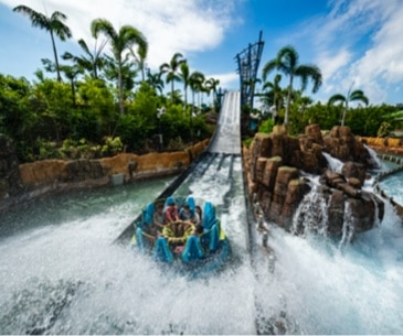 Image : SeaWorld Orlando