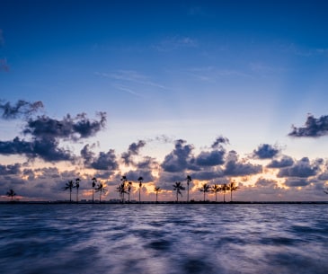 Image : Matheson Hammock Park