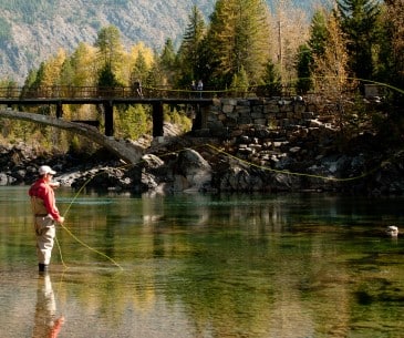 Image : Flathead National Forest