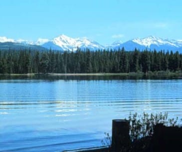 Image : Lolo National Forest