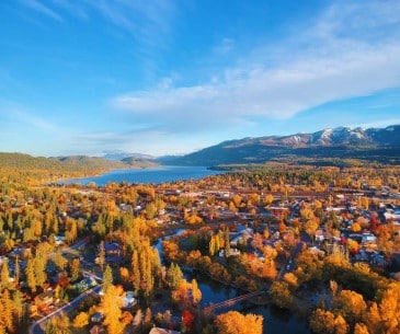 Image : Whitefish