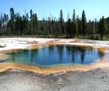Image : Yellowstone National Park