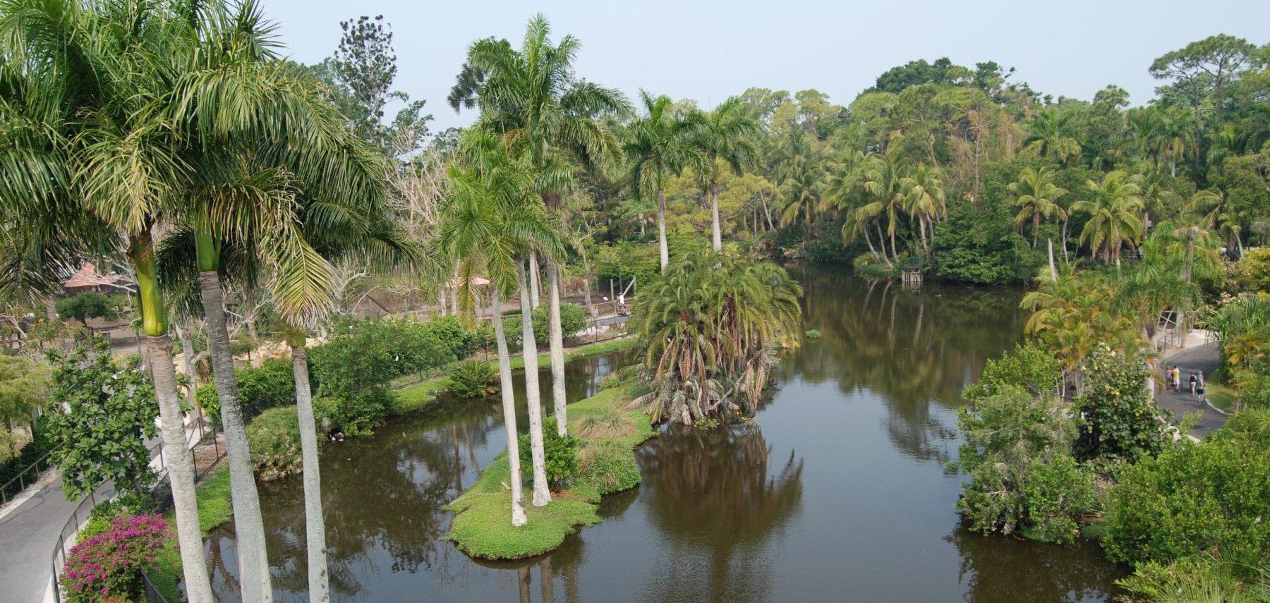 Naples-MarcoIsland-Everglades-CVB-Naples-Zoo-Aligator-Bay-1