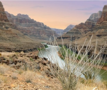Image : Survol du Grand Canyon