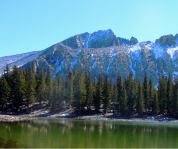 Image : Great Basin National Park
