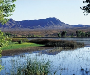 Image : Pahranagat National Wildlife Refuge